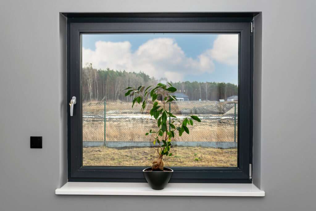 A beautiful, large bonsai tree in a black pot with liquid flower conditioner, standing on a marble window sill.
